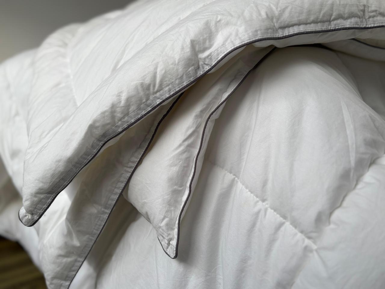 WhatsApp Image 2025-09-20 at 9.52.30 PM Duvet Inners